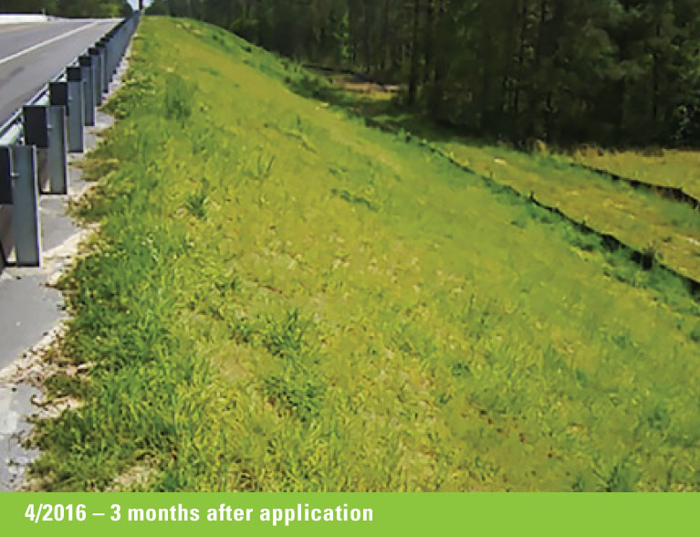 Fusion Erosion Control & Biotic Soil Amendment Case Study Before & After