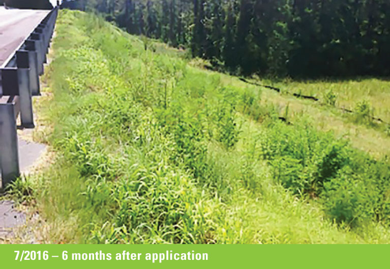 Fusion Erosion Control & Biotic Soil Amendment Case Study Before & After