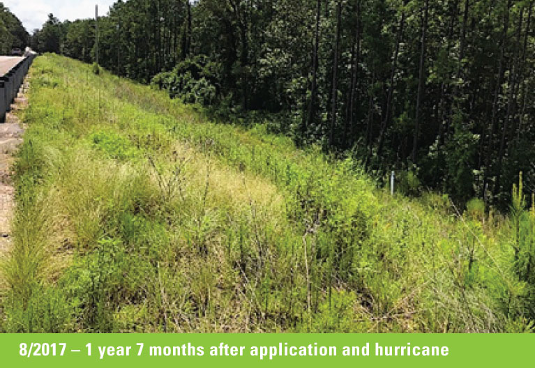 Fusion Erosion Control & Biotic Soil Amendment Case Study Before & After